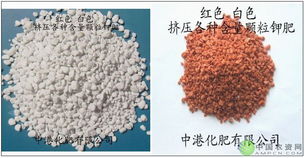 圆颗粒钾肥 现代农业生产中的重要钾肥形态