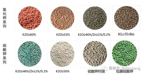 圆颗粒钾肥 高效农业的隐形守护者
